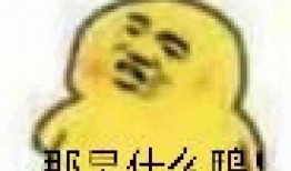 吃不吃瓜表情包,揭秘吃瓜表情包背后的文化现象