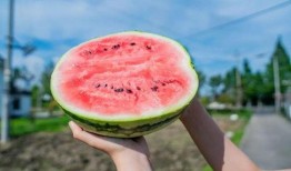 吃瓜打卡地,吃瓜群众的美食天堂