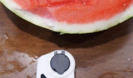 吃瓜好教程,轻松掌握瓜界秘籍，畅享美食盛宴