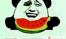 吃瓜的梗,揭秘娱乐圈那些吃瓜群众的狂欢盛宴