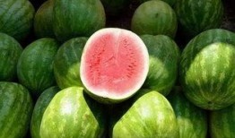 扮瓜吃瓜,揭秘网络热词背后的趣味与智慧