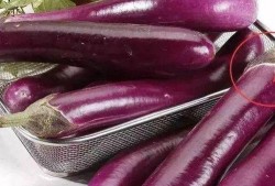 茄子鬼畜视频吃瓜,吃瓜群众的热议焦点