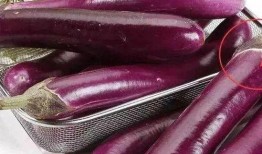 茄子鬼畜视频吃瓜,吃瓜群众的热议焦点