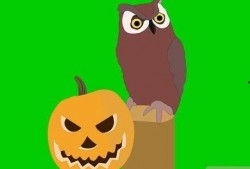 吃瓜的松鼠小说大全