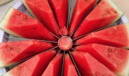 99吃瓜大赛,一场全民狂欢的瓜界盛宴