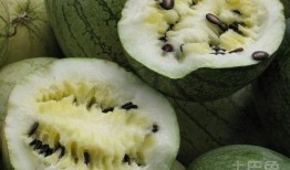 籽瓜能否加热吃,美味与营养的双重体验