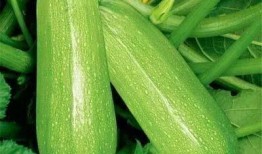 乔林吃瓜,揭秘娱乐圈幕后故事