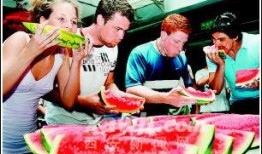 老外吃瓜机器,全球视角下的娱乐现象解析