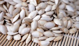 包子瓜的籽可以吃吗,可食用之谜揭秘