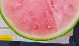 老外最新吃瓜,老外最新“吃瓜”事件，真相令人咋舌！