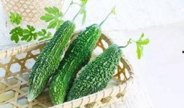 乌瓜条怎么吃,解锁美味新体验