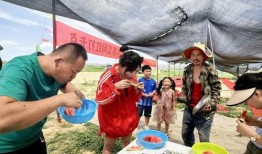 吃瓜趣味游戏视频,趣味游戏视频带你领略吃瓜乐趣