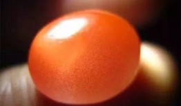 南红瓜吃有处吗,探寻神秘果实的神秘之处