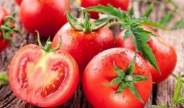 吃瓜穷人乐,揭秘平民百姓的娱乐生活