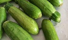 小角瓜可以吃吗,健康美味，放心食用指南