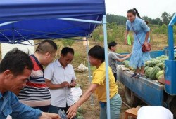 南靖吃瓜群众,揭秘当地独特美食文化