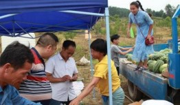 南靖吃瓜群众,揭秘当地独特美食文化