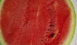 吃生瓜感冒了,健康饮食需谨慎