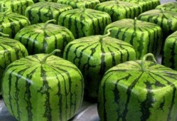 中国吃瓜最前线,揭秘娱乐圈幕后真相