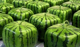 中国吃瓜最前线,揭秘娱乐圈幕后真相