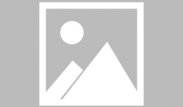 喂猪吃瓜视频大全,趣味视频大全集锦