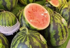 今年怎么天天吃瓜,瓜田里的娱乐圈风云录