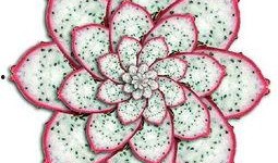 扮瓜吃瓜,揭秘网络热词背后的趣味与智慧