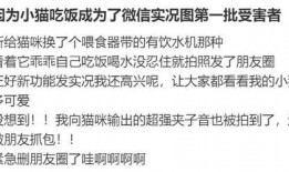 炸裂的吃瓜聊天,揭秘娱乐圈幕后故事