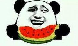 骑猪吃瓜系统,揭秘古代奇特的饮食文化现象