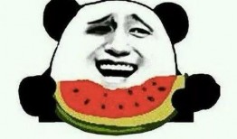 吃瓜啵啵姐弟,揭秘娱乐圈的甜蜜日常与温馨互动