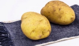 土豆bug直播吃瓜,揭秘娱乐圈幕后真相