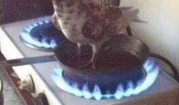 咕咕咕吃瓜,揭秘娱乐圈那些不为人知的幕后故事