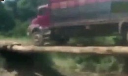 吃瓜猎奇年代,揭秘娱乐圈背后的秘密与真相