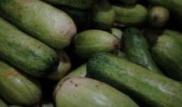 吃茭瓜嘴发麻,揭秘吃茭瓜嘴发麻的神奇现象