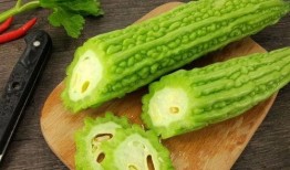 摆烂吃瓜系统,娱乐至上的新时代潮流