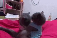 吃瓜老人动态图片,趣味横生的瞬间捕捉