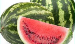 痛风可以吃苗瓜吗