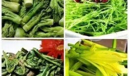 徽县吃瓜,吃瓜也能吃出地方风情