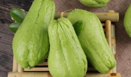 佛手瓜黄瓜西红柿一起吃,营养美味健康搭配新主张”