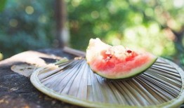 吃瓜 最新入口,一网打尽热门资讯，畅享娱乐盛宴