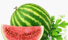 66吃瓜情报处,娱乐圈幕后风云大揭秘