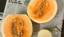 甜不齁吃瓜,揭秘娱乐圈那些鲜为人知的幕后故事