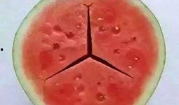 吃瓜都吃奔驰瓜,揭秘奔驰瓜的独特魅力