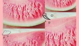 鹤壁吃瓜的地方,鹤壁特色“吃瓜”圣地大盘点