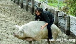 骑猪吃瓜系统,揭秘古代奇特的饮食文化现象