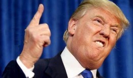 bernard吃瓜群众,吃瓜群众的视角解读