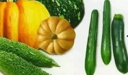 琶醍吃瓜,揭秘网红美食背后的故事