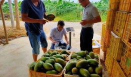 做个安静的吃瓜群众