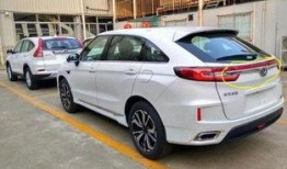 东风本田吃瓜,揭秘汽车行业背后的风云涌动