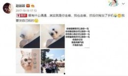 明星吃孕瓜视频,甜蜜孕瓜视频幕后故事大揭秘